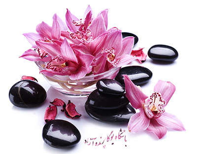 خانه یوگا, یوگا کرج, یوگا البرز, یوگاکرج, پرنده آزاد یوگا, کلاس یوگا, مرکز تخصصی یوگا, yoga, meditation, یوگا در کرج, آرامش با یوگا, یوگا درمانی, تعادل در یوگا, کلاس یوگا, یوگا, آساناهای یوگا, یوگاکرج, یوگا کرج, یوگا عظیمیه, کرج, باشگاه یوگا, Yoga International, یوگا برای بانوان, باشگاه یوگا پرنده آزاد, یوگای خوب, مدیتیشن, یوگا استان البرز, یوگا البرز, یوگاالبرز, باشگاه یوگا, مرکز یوگا بانوان, یوگا عظیمیه, یوگاگوهردشت, باشگاه برتر البرز, یوگای برگزیده البرز, باشگاه برتر کرج, باشگاه برگزیده البرز, Asana,موفقیت